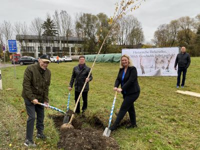 Birkenallee zwischen Taufkirchen und Potzham wird 