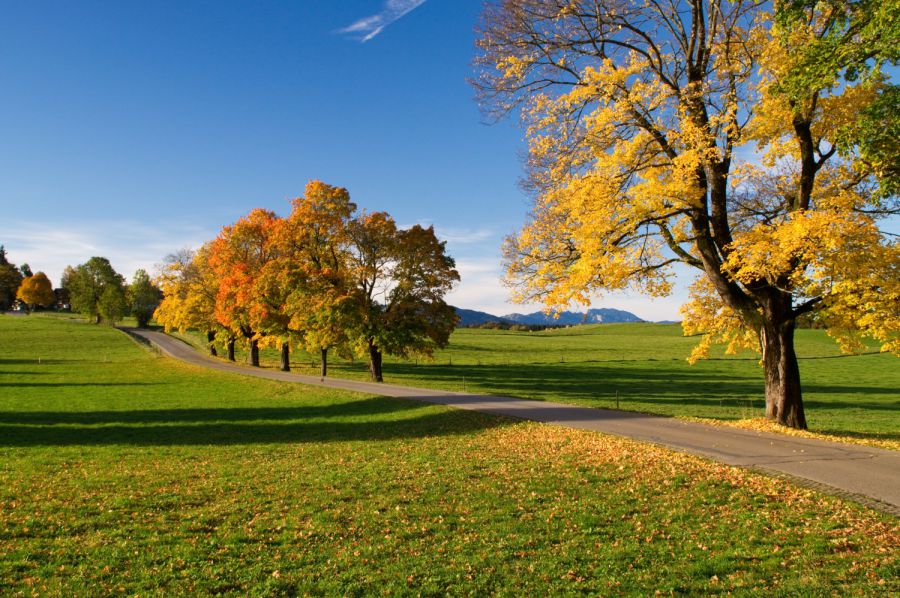 Deutschlandwetter im Herbst 2020