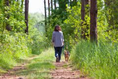 Weyarn Hundeklo mutwillig beschädigt