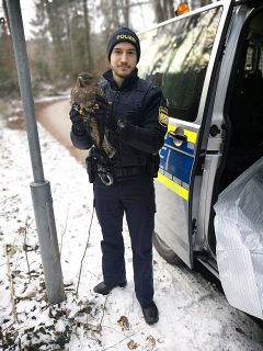 Kiefersfelden Greifvogel in Not Einsatz für die Po