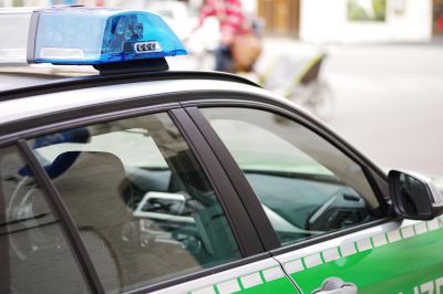 Traunreut Zusammenstoß zwischen Hund und Pkw bei d