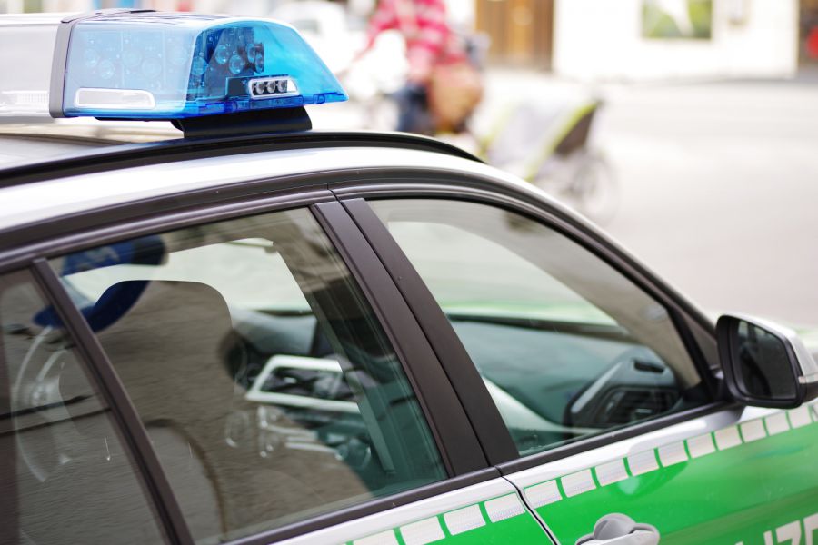 Traunreut Zusammenstoß zwischen Hund und Pkw bei d