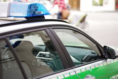 Traunreut Zusammenstoß zwischen Hund und Pkw bei d