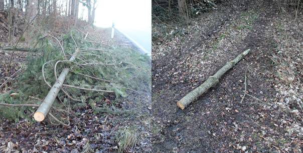 Trostberg Gefährlicher Eingriff in den Straßenverk