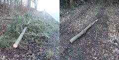 Trostberg Gefährlicher Eingriff in den Straßenverk