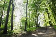 Miesbach Diebstahl und Sachbeschädigung in Wild Wa