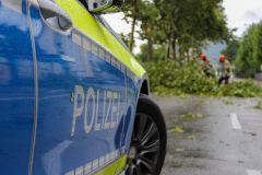 Rosenheim Baumstämme fallen Polizei fast vor die F