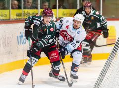 Henriquez bleibt mit Förderlizenz in Rosenheim