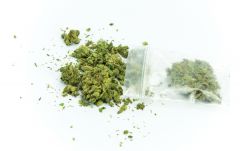 Alkoholisiert und unter Drogeneinfluss am Steuer K
