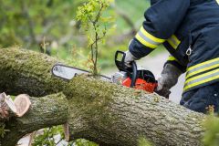 Verkehrsunfall mit hohem Sachschaden in Fischbacha