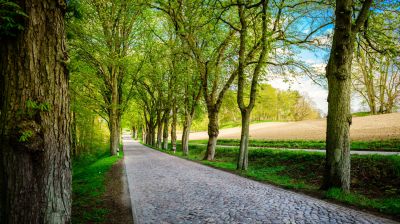 Unbekannter vergräbt Nagelbretter am Straßenrand