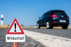 Miesbach Unfall B318 Waakirchen