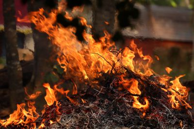 Illegales Lagerfeuer auf Insel im Seehamer See Wey