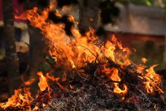 Illegales Lagerfeuer auf Insel im Seehamer See Wey