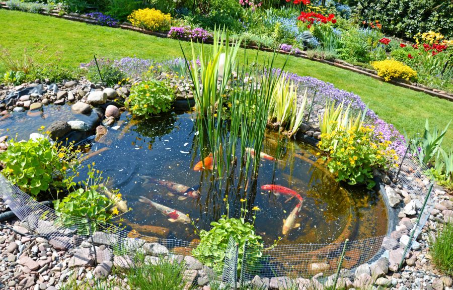 Traunstein Garten über längeren Zeitraum mit Hunde