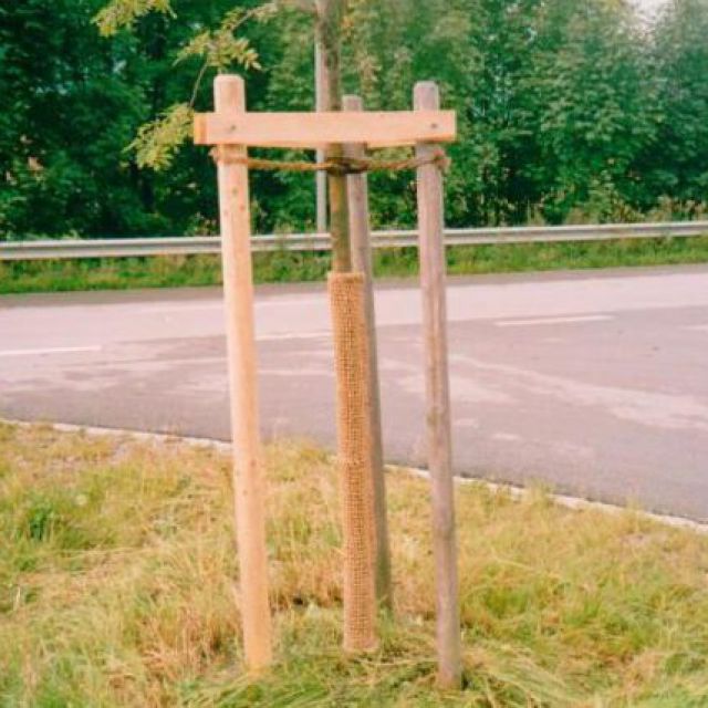 Baumschutz